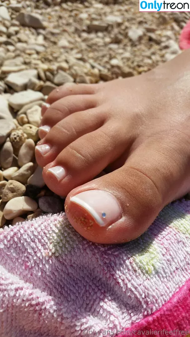 cavalierifeetfree nude photo #0184 (funwifelife)