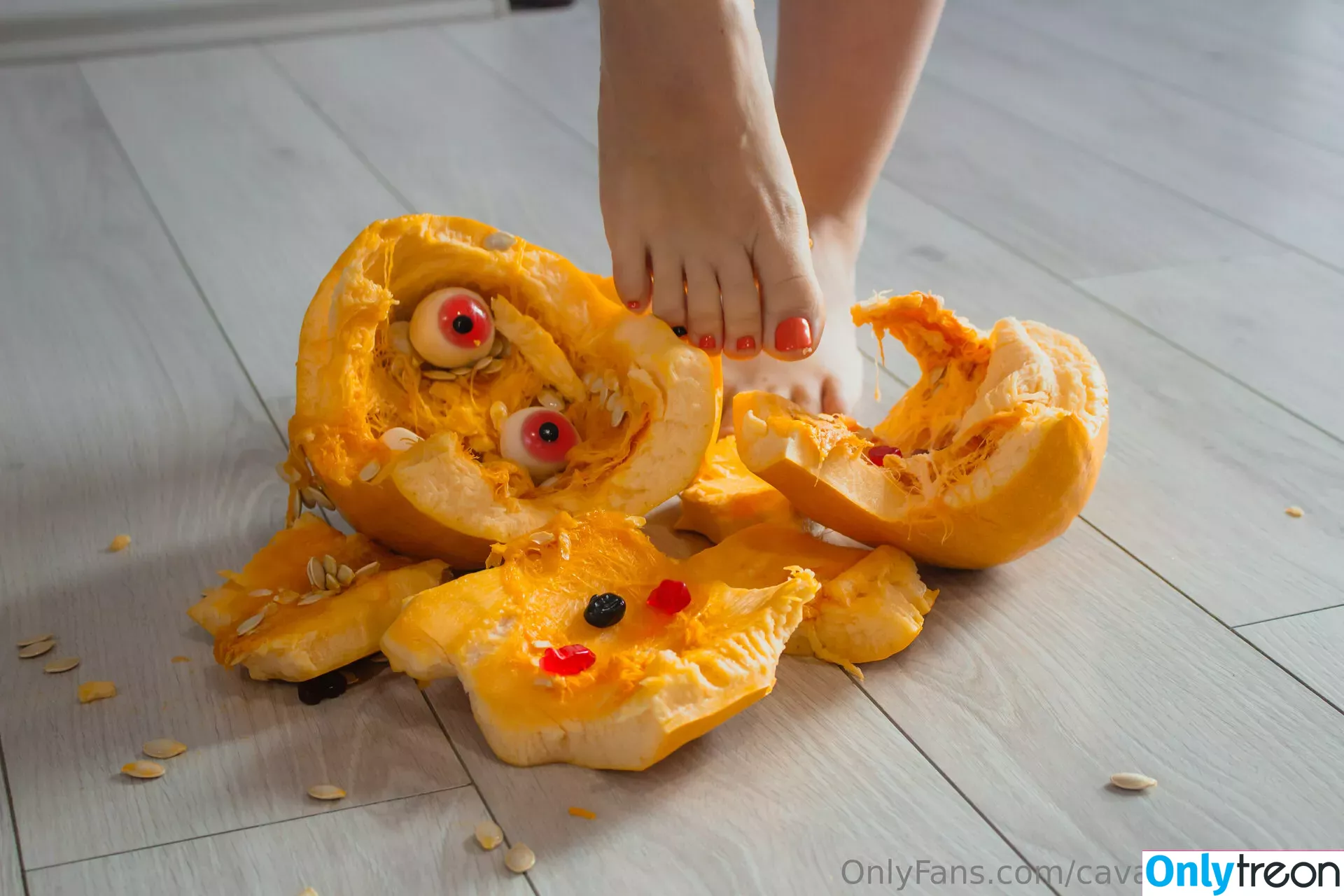 cavalierifeetfree nude photo #0186 (funwifelife)