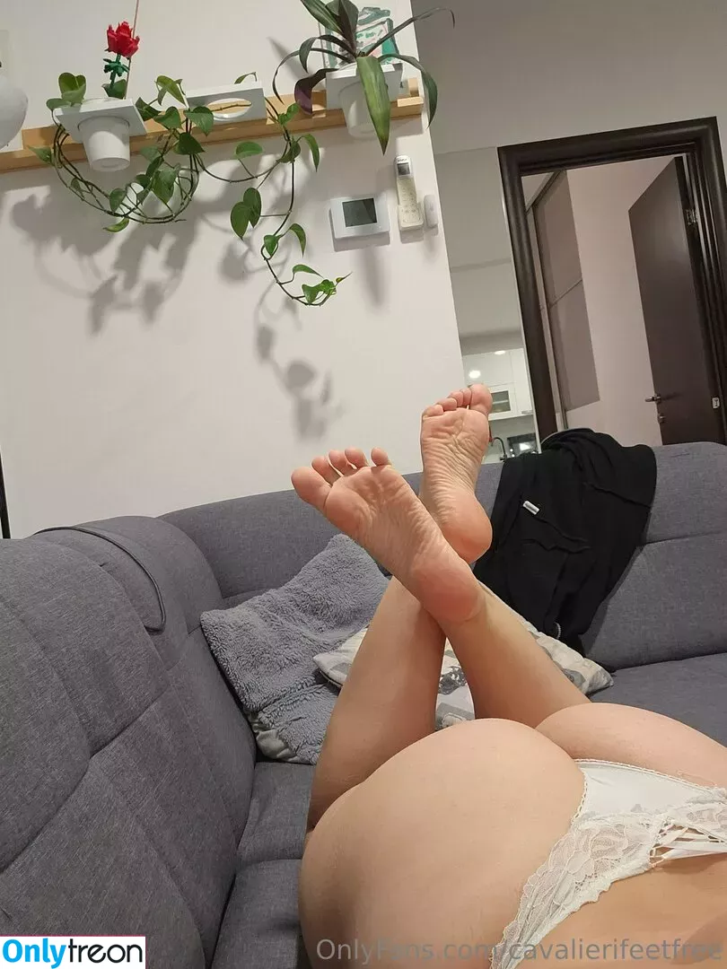 cavalierifeetfree nude photo #0206 (funwifelife)