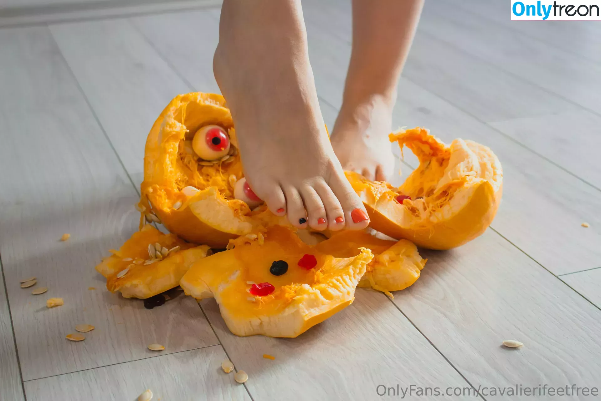 cavalierifeetfree голая photo #0213 (funwifelife)