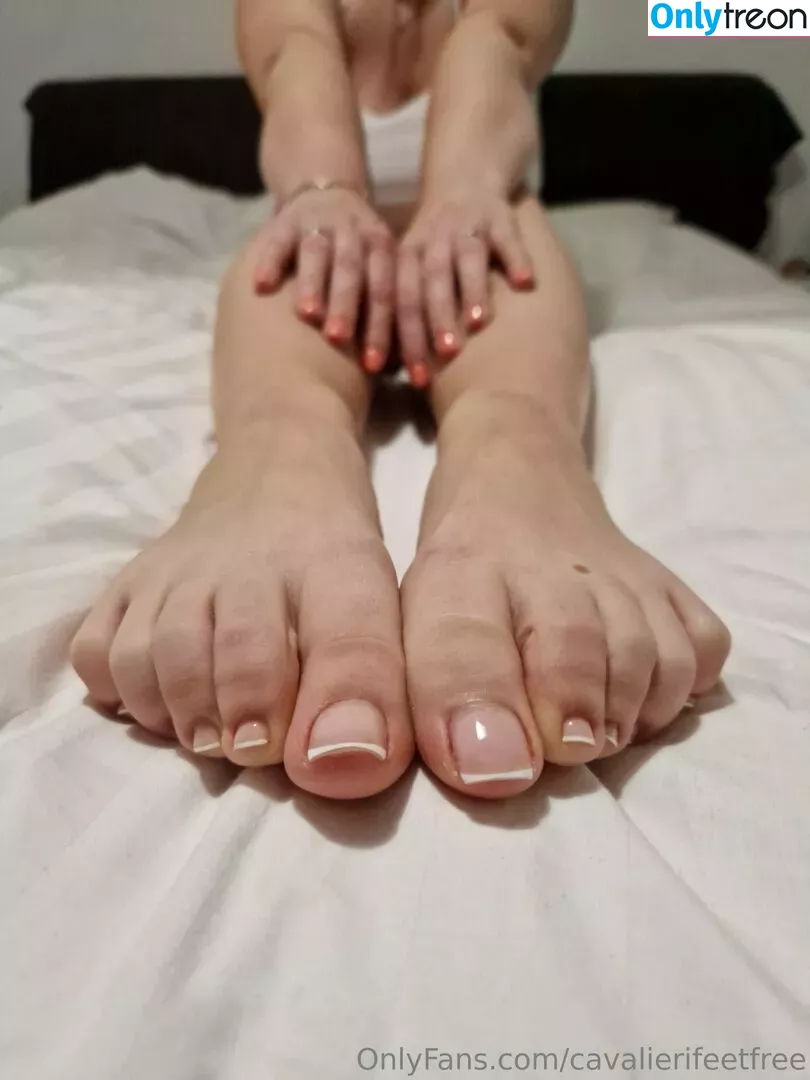 cavalierifeetfree nude photo #0232 (funwifelife)