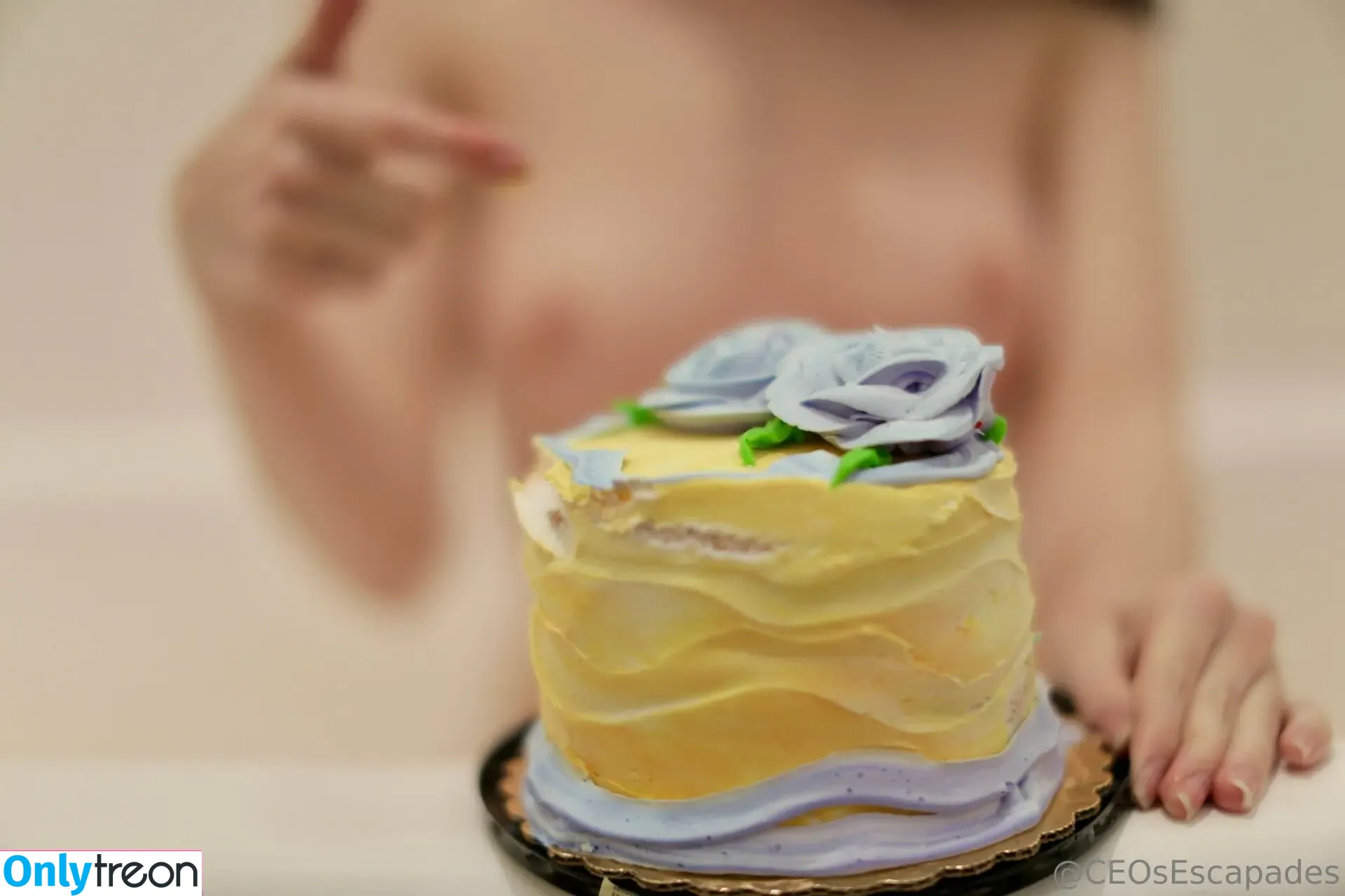 ceosescapades nude photo #0090 (ceosescapades)