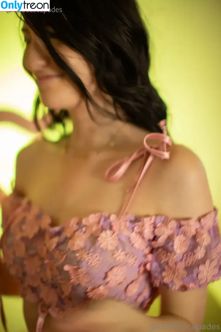 ceosescapades nude photo #0156 (ceosescapades)