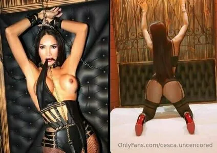 cesca.uncencored / cesccardillo / tgirljayd фото голая #0140