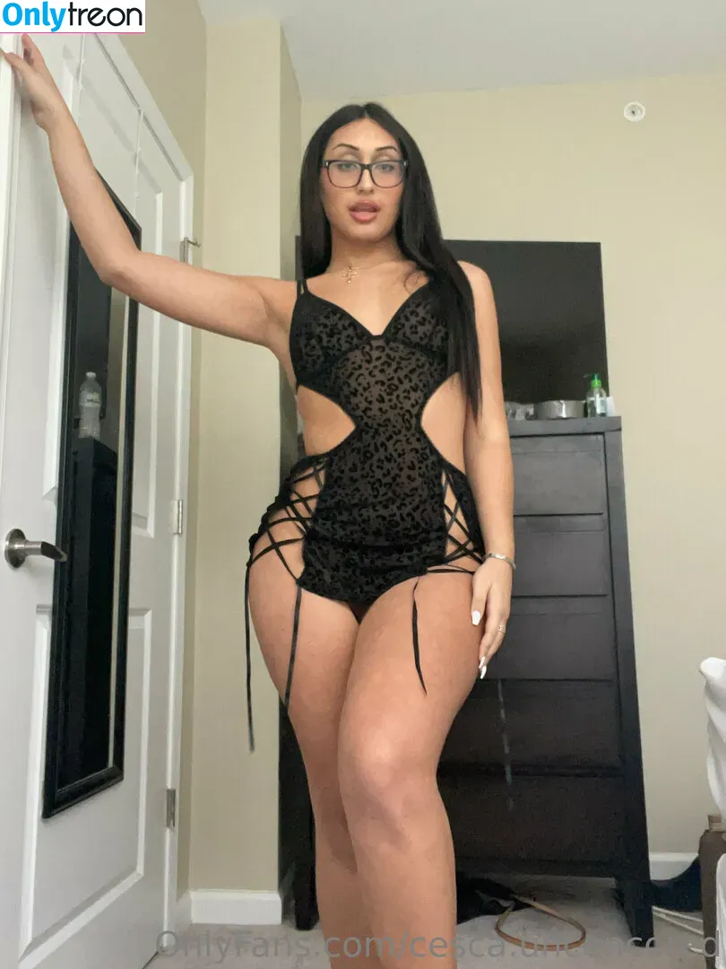 cesca.uncencored nude photo #0036 (cesccardillo / tgirljayd)