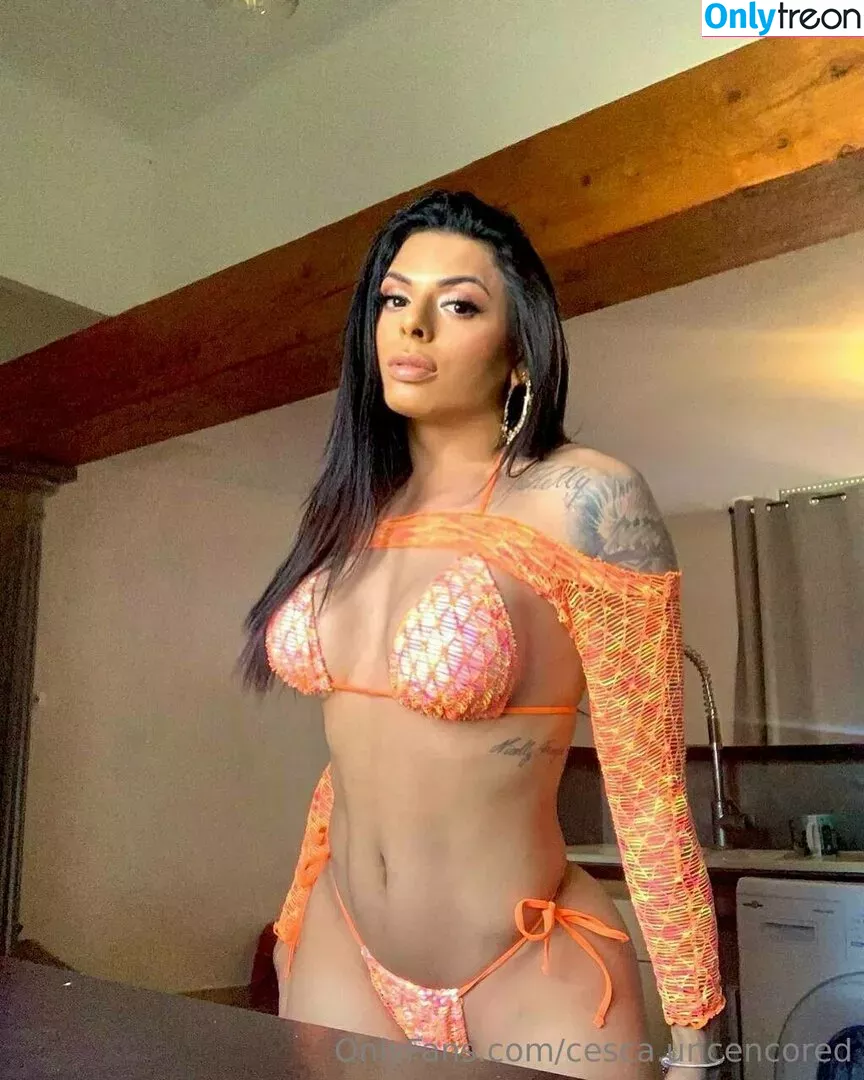 cesca.uncencored nude photo #0308 (cesccardillo / tgirljayd)