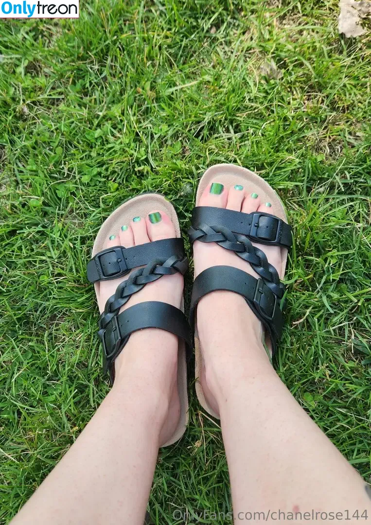 chanelrose144 голая photo #0156 (shan14rose)