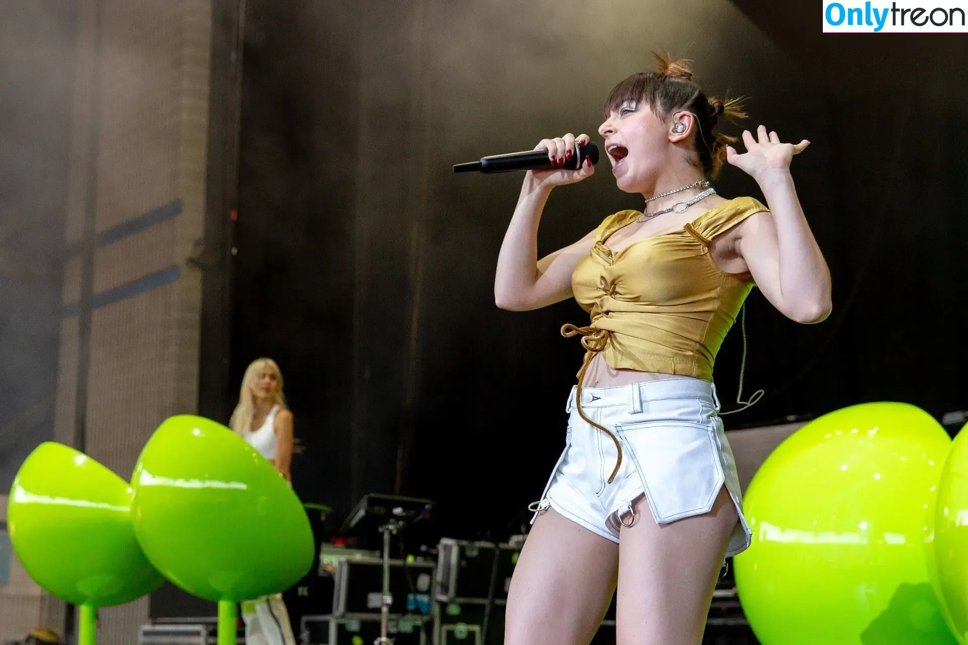 Charli XCX голая photo #2599 (charli_xcx / charlignarly)