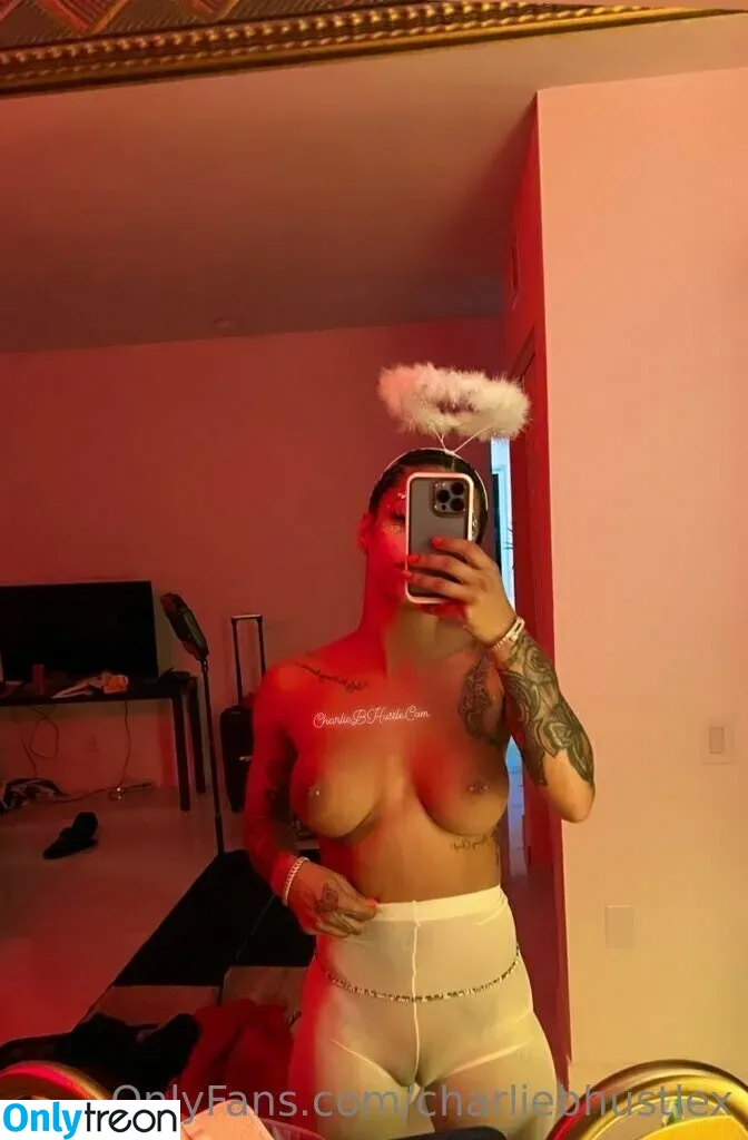 charliebhustlex nude photo #0064 (mecharliebhustle)