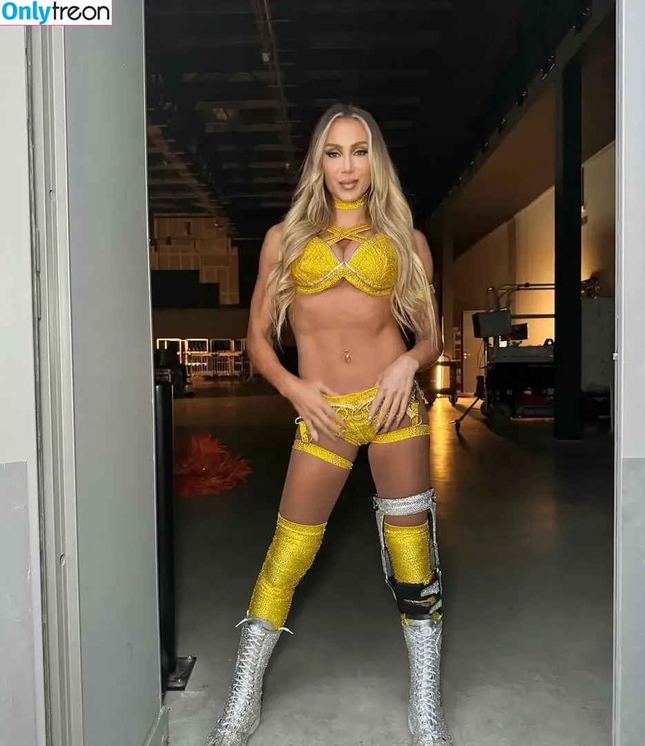 Charlotte Flair nude photo #1323 (WWE / charlottewwe)