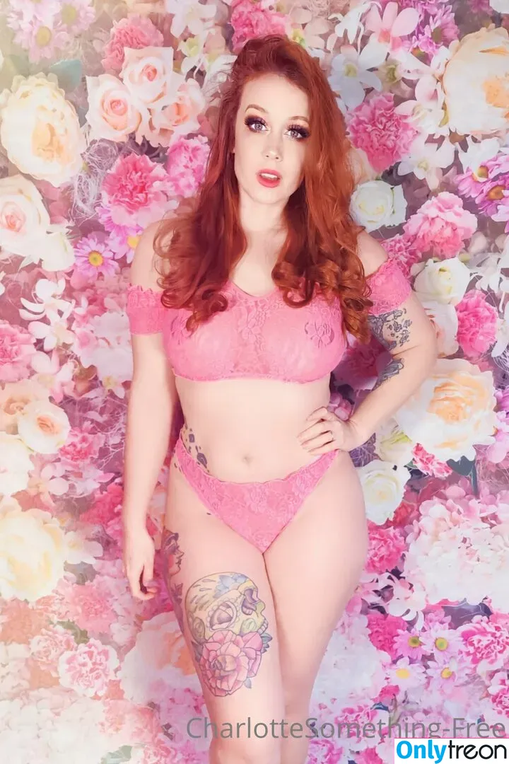 charlottesomethingfree nude photo #0009 (thesomethingblueblog)