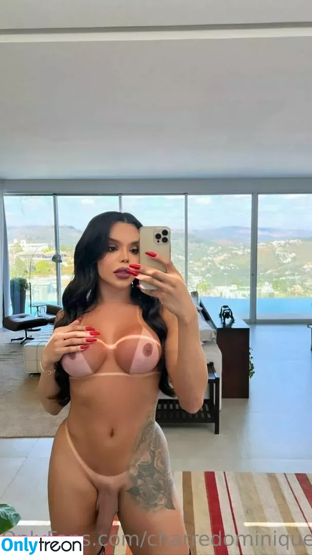 charredominique nude photo #0039 (dominique_charre)