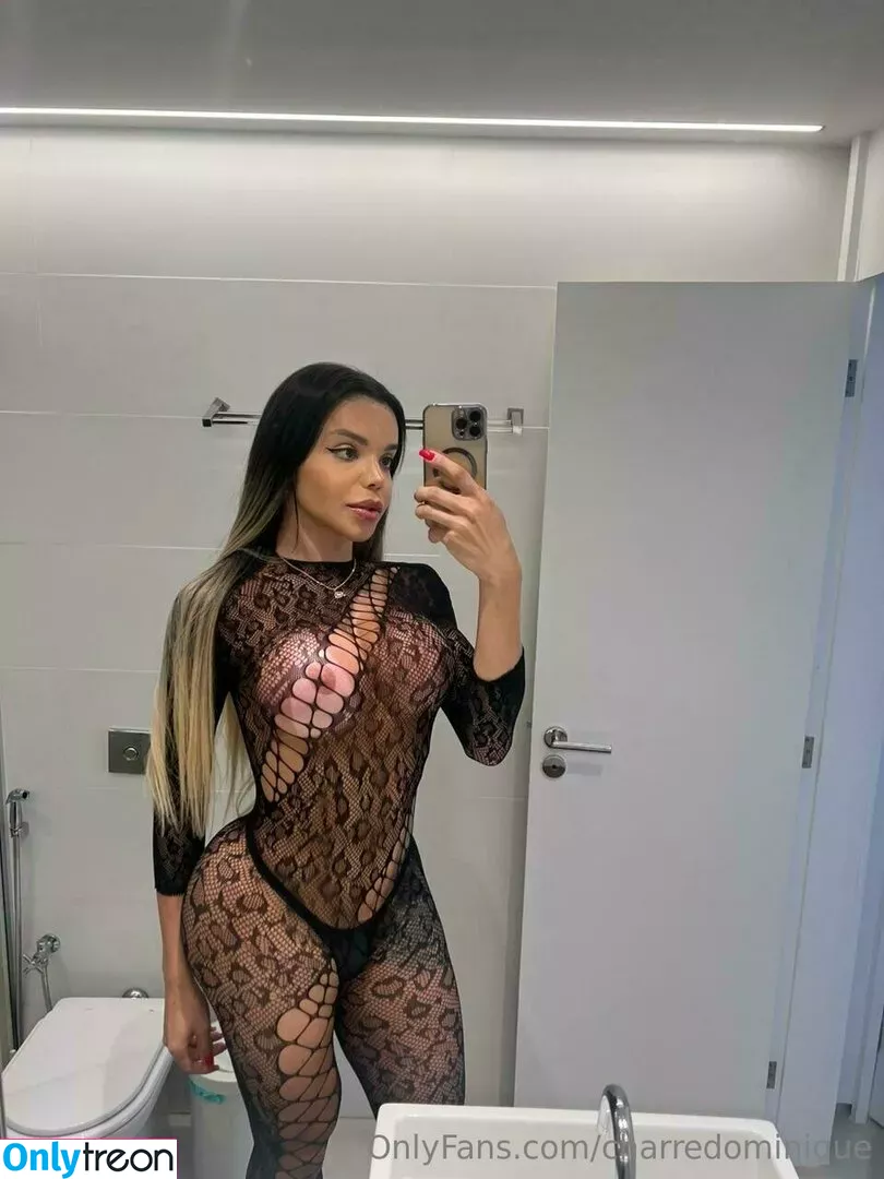 charredominique nude photo #0074 (dominique_charre)