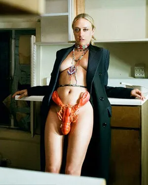 Chloe Sevigny / chloessevigny фото голая #0082