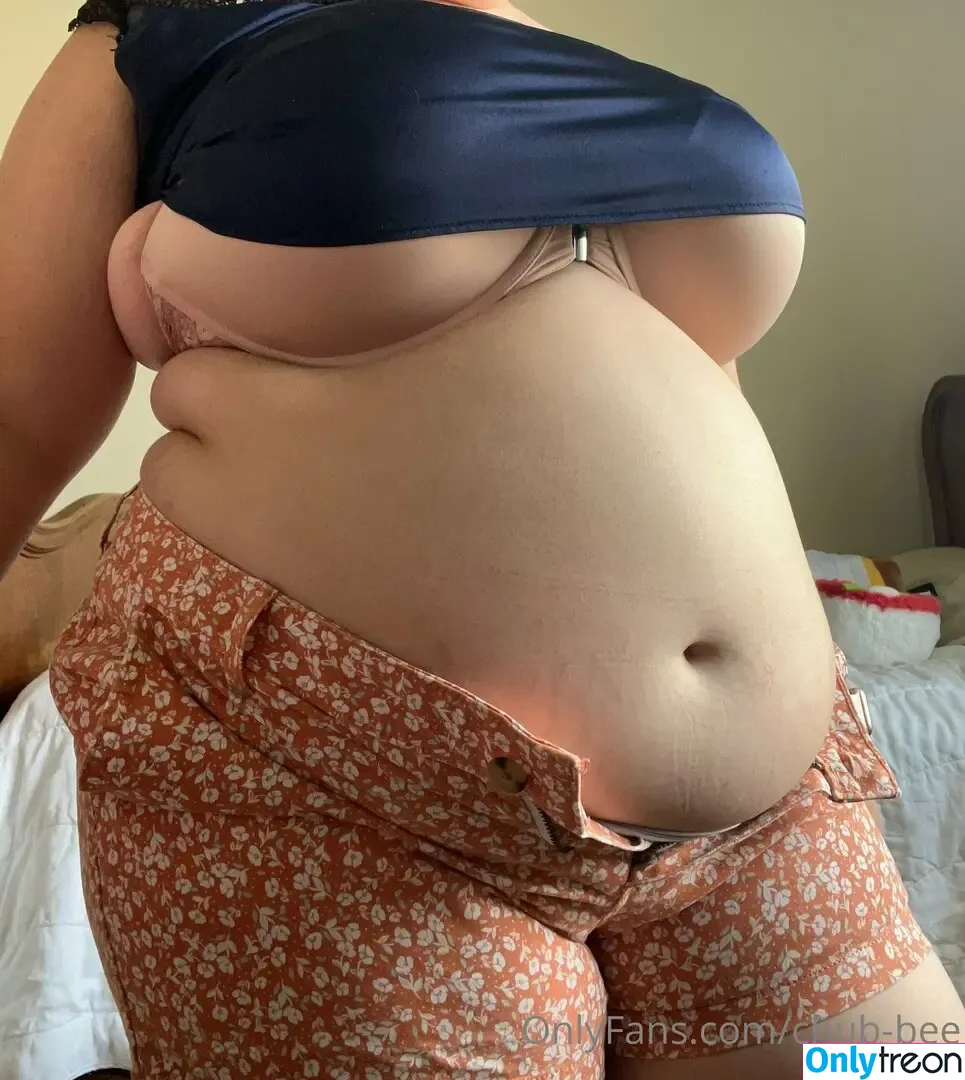 chub-bee nude photo #0038 (beeingawriter)