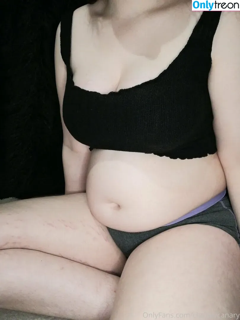 chubbycanary nude photo #0010 (chubby_canary)