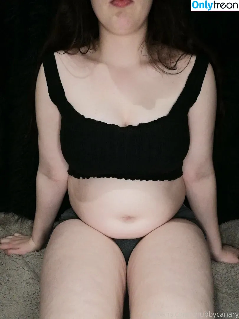 chubbycanary nude photo #0016 (chubby_canary)