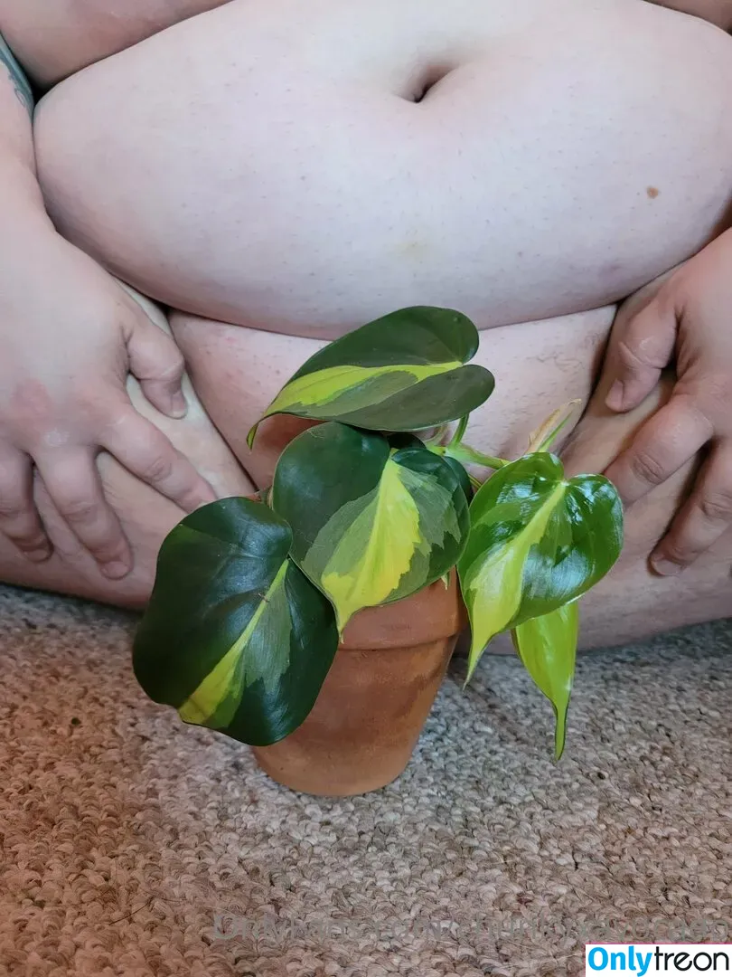 chunkyxavocado nude photo #0014 (bananavocado)