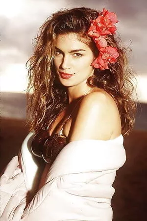Cindy Crawford / cindycrawford / cindycrawfordrealxxx фото голая #0227