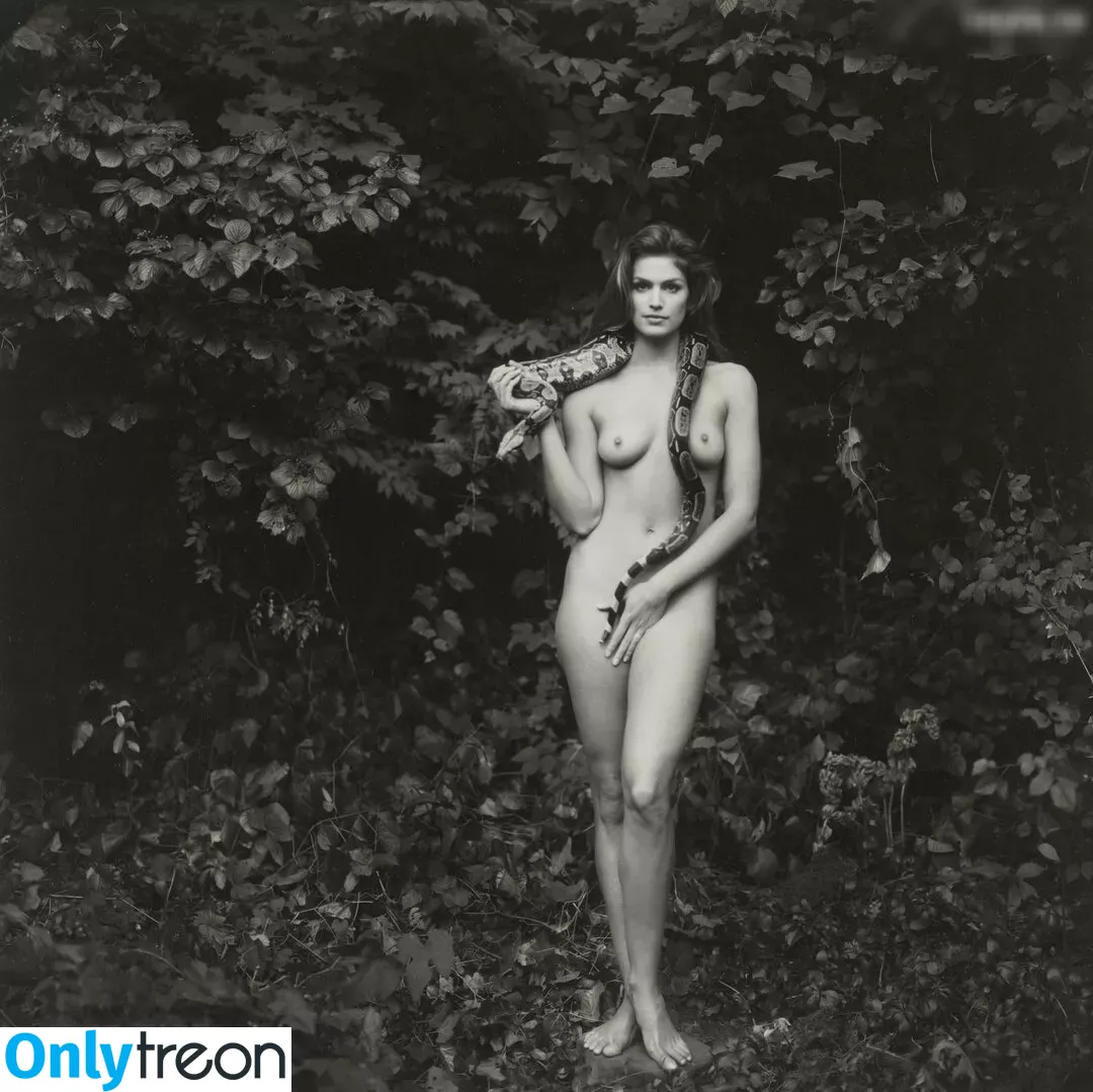 Cindy Crawford голая photo #0195 (cindycrawford)