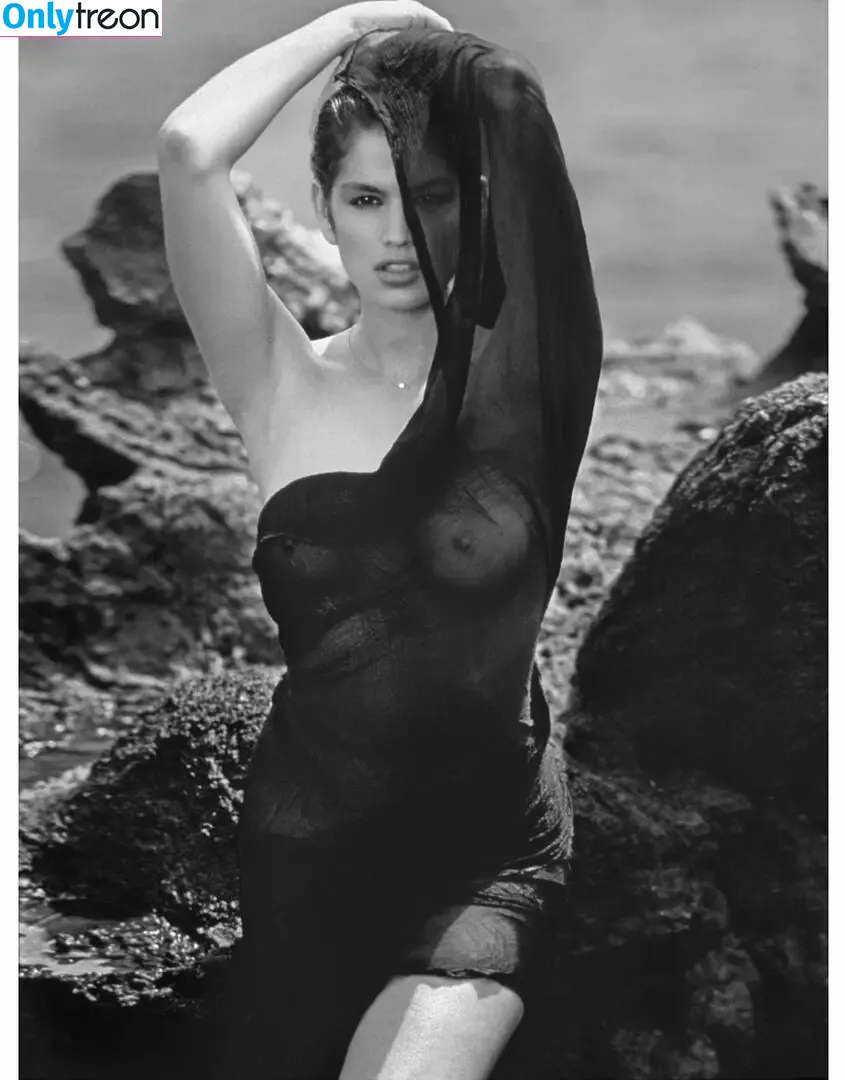 Cindy Crawford nude photo #0463 (cindycrawford)