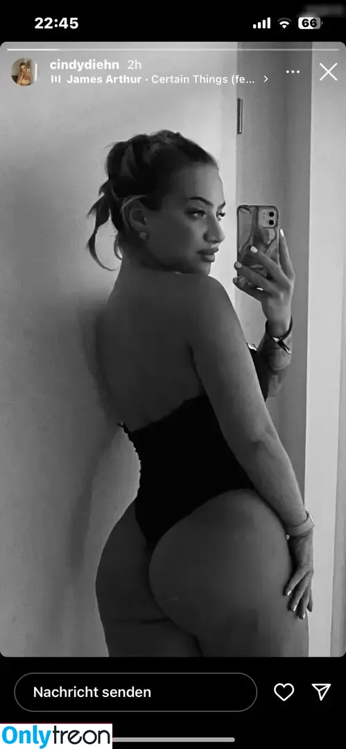 Cindy Diehn nude photo #0008 (cindydiehn)