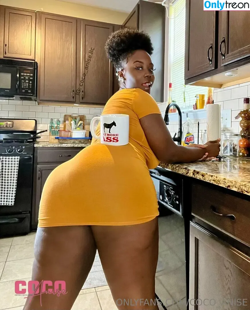 coco_anise голая photo #0025 (cocoanisebackup)