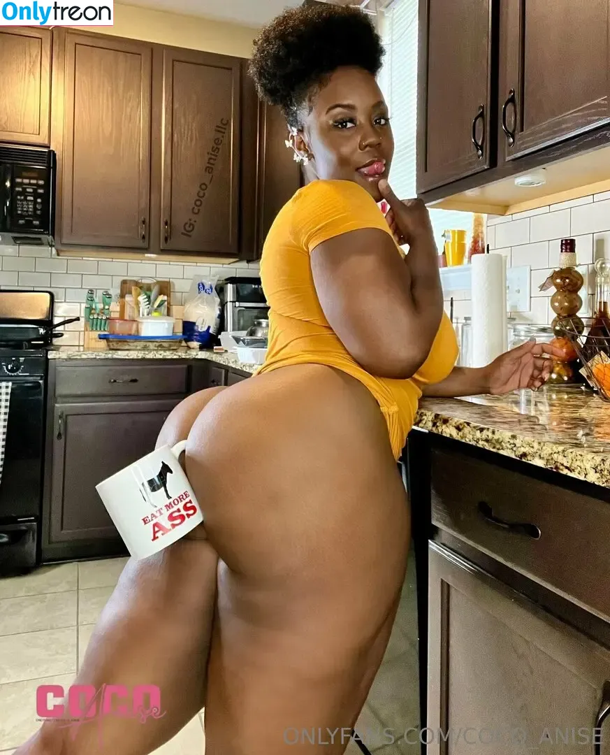 coco_anise nude photo #0026 (cocoanisebackup)