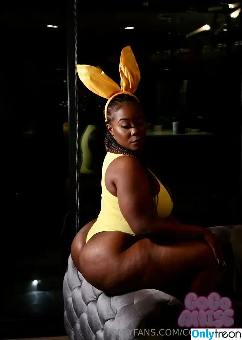 coco_anise nude photo #0049 (cocoanisebackup)