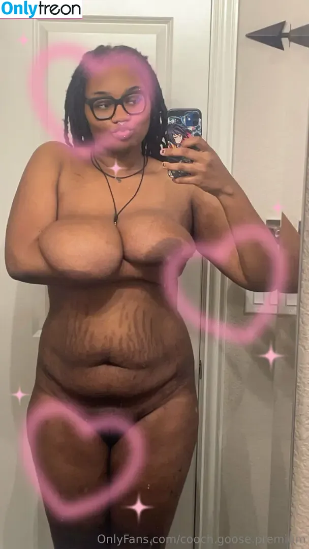 cooch.goose.premium nude photo #0047 (goosetowne)