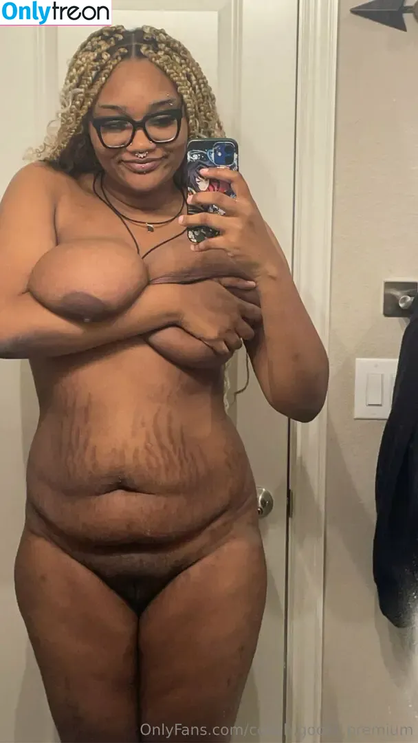 cooch.goose.premium nude photo #0057 (goosetowne)