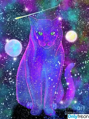 Cosmic_Kitty_Cat / cosmic_kitty_cat_ фото голая #0050