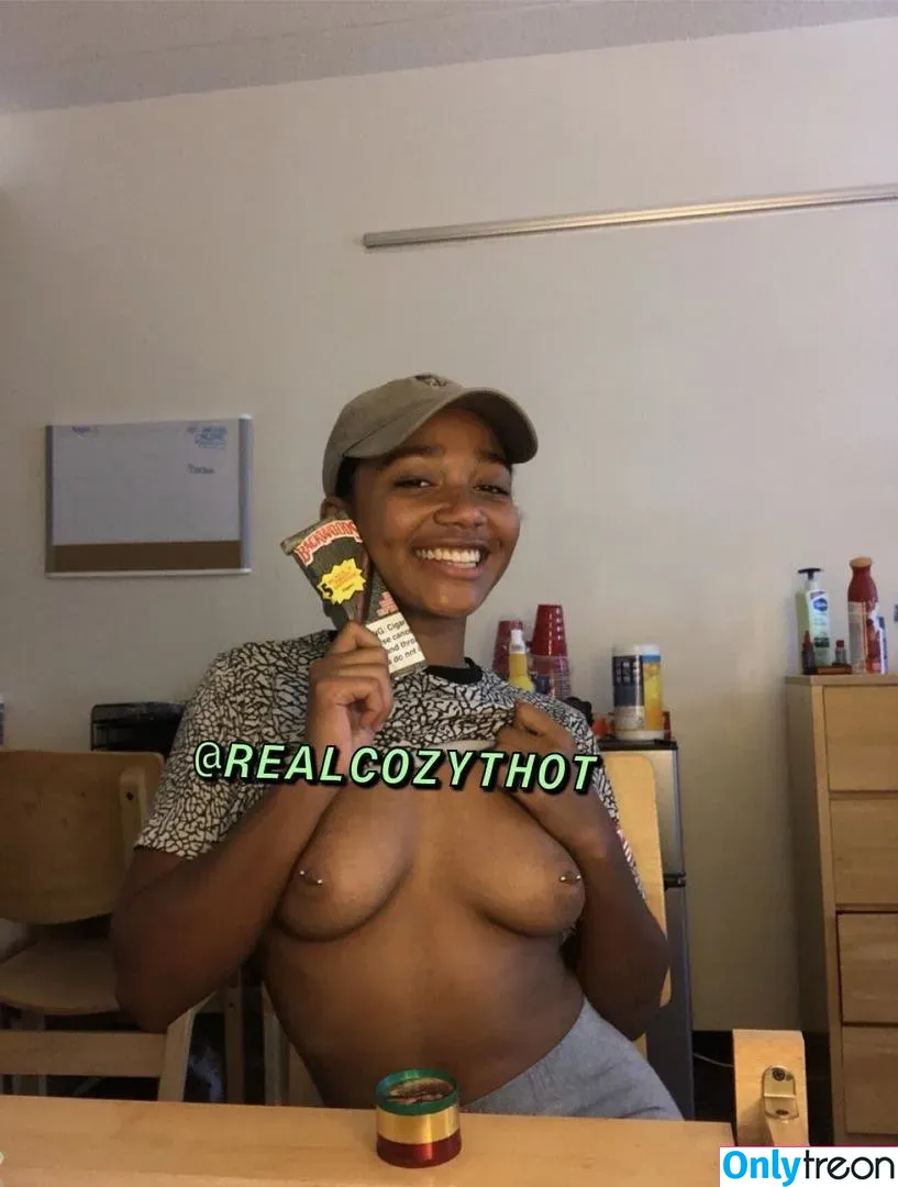 CozyThot nude photo #0025 (realc0zyth0t)