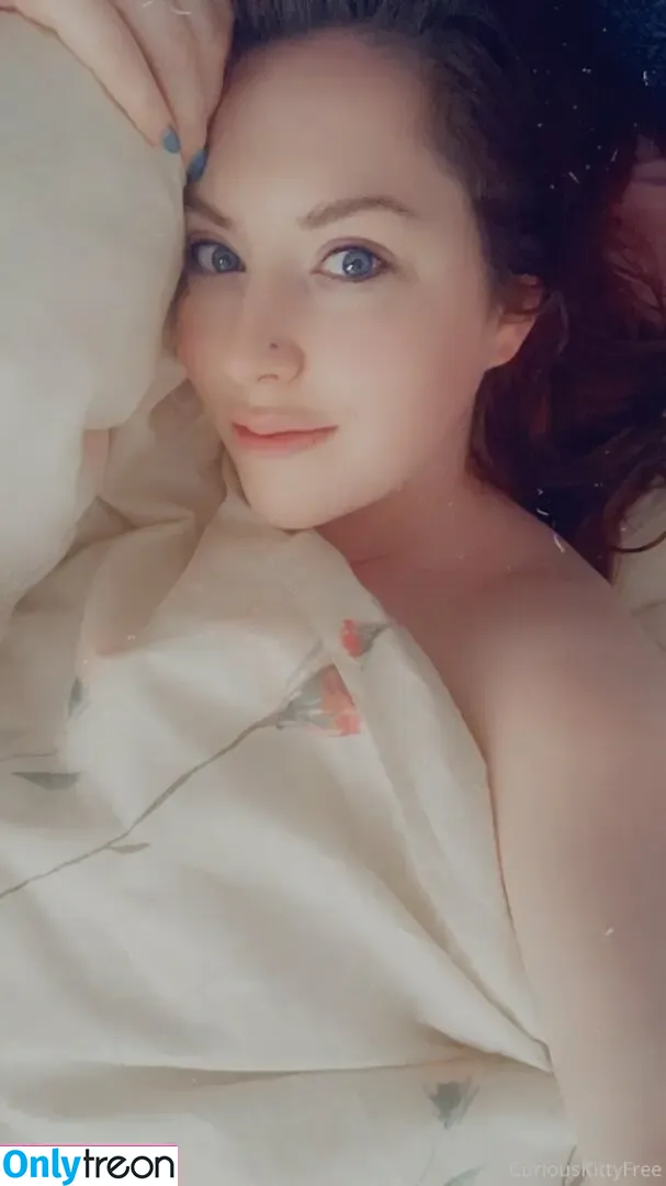 curiouskittypremium nude photo #0015 (spookythekitty2001)