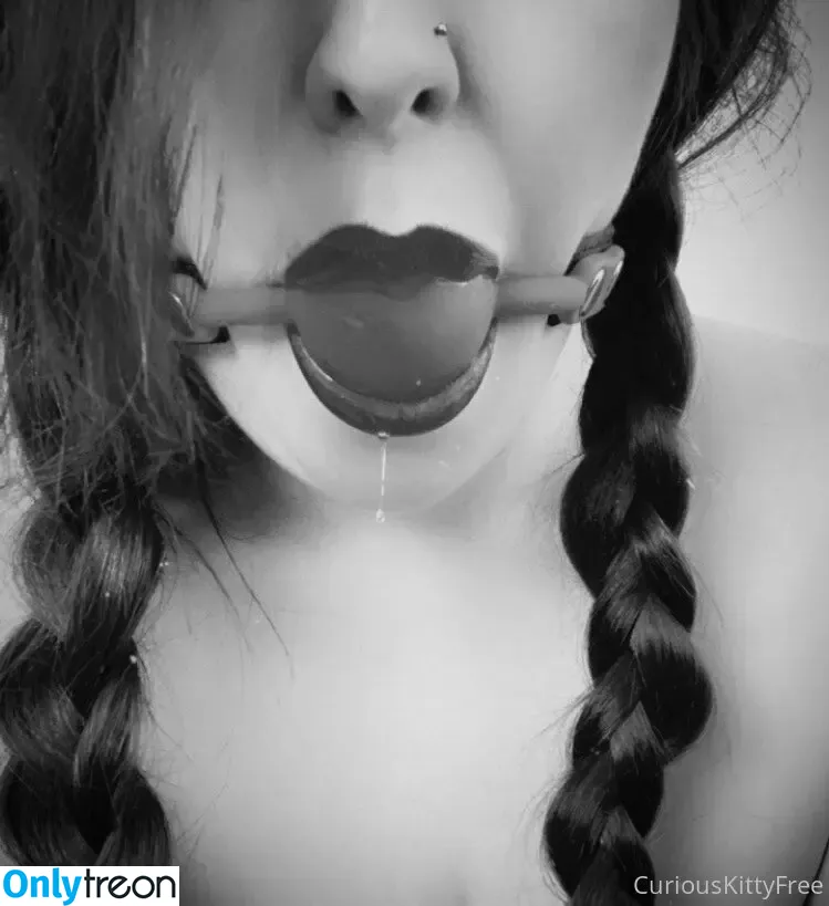 curiouskittypremium nude photo #0024 (spookythekitty2001)