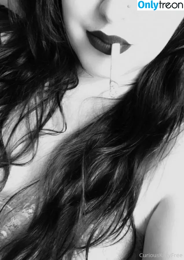 curiouskittypremium nude photo #0041 (spookythekitty2001)
