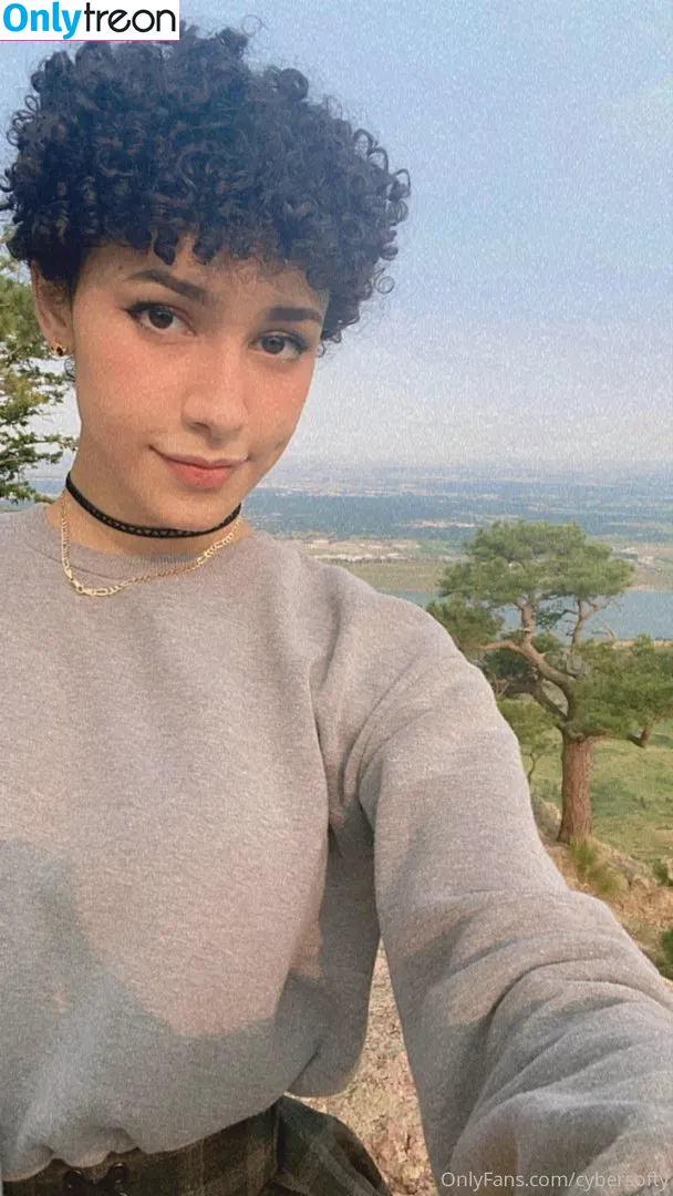 cybersofty голая photo #0003 (cyber.softy)