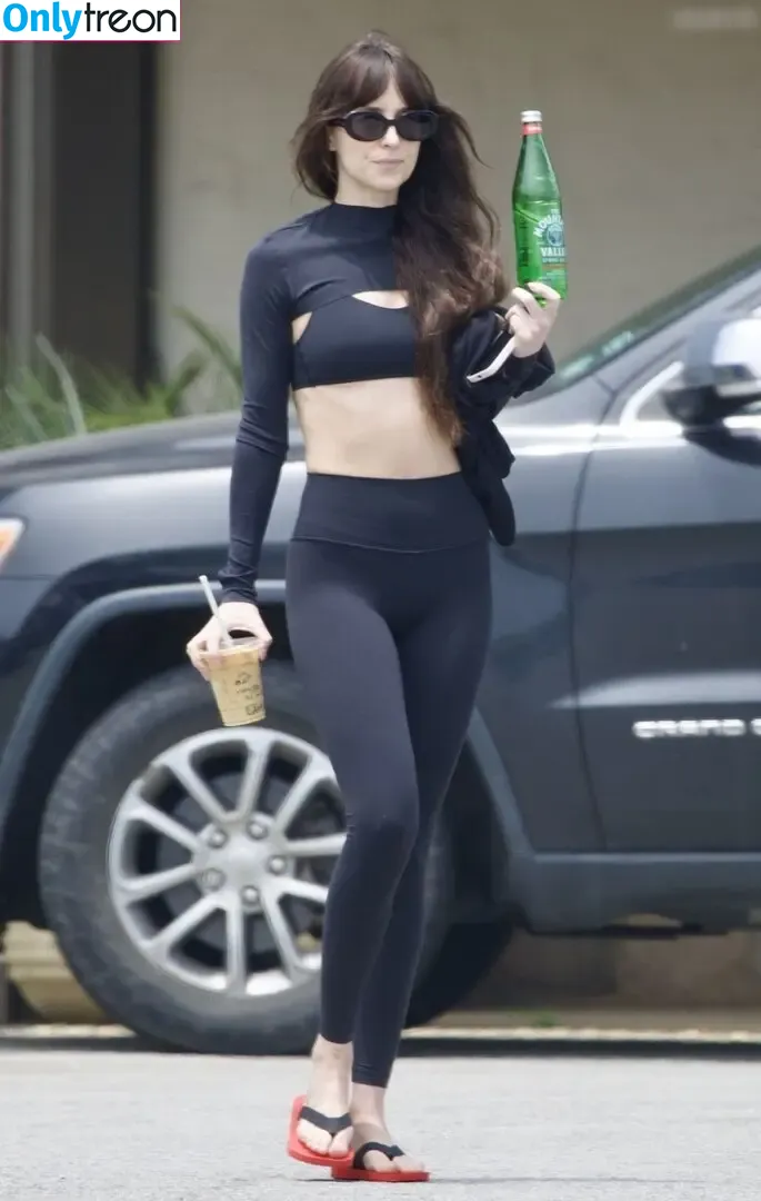 Dakota Johnson nude photo #1358 (dakotajohnson / isDakotaJohnson)