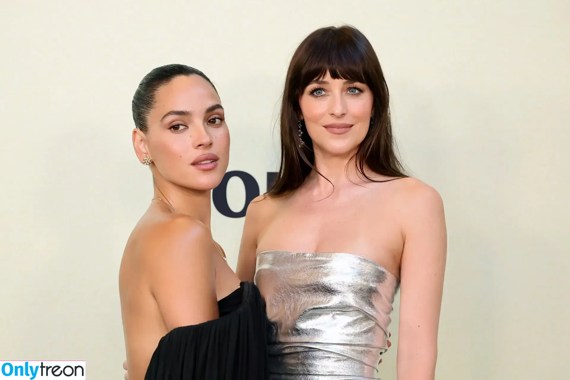 Dakota Johnson nude photo #1749 (dakotajohnson / isDakotaJohnson)