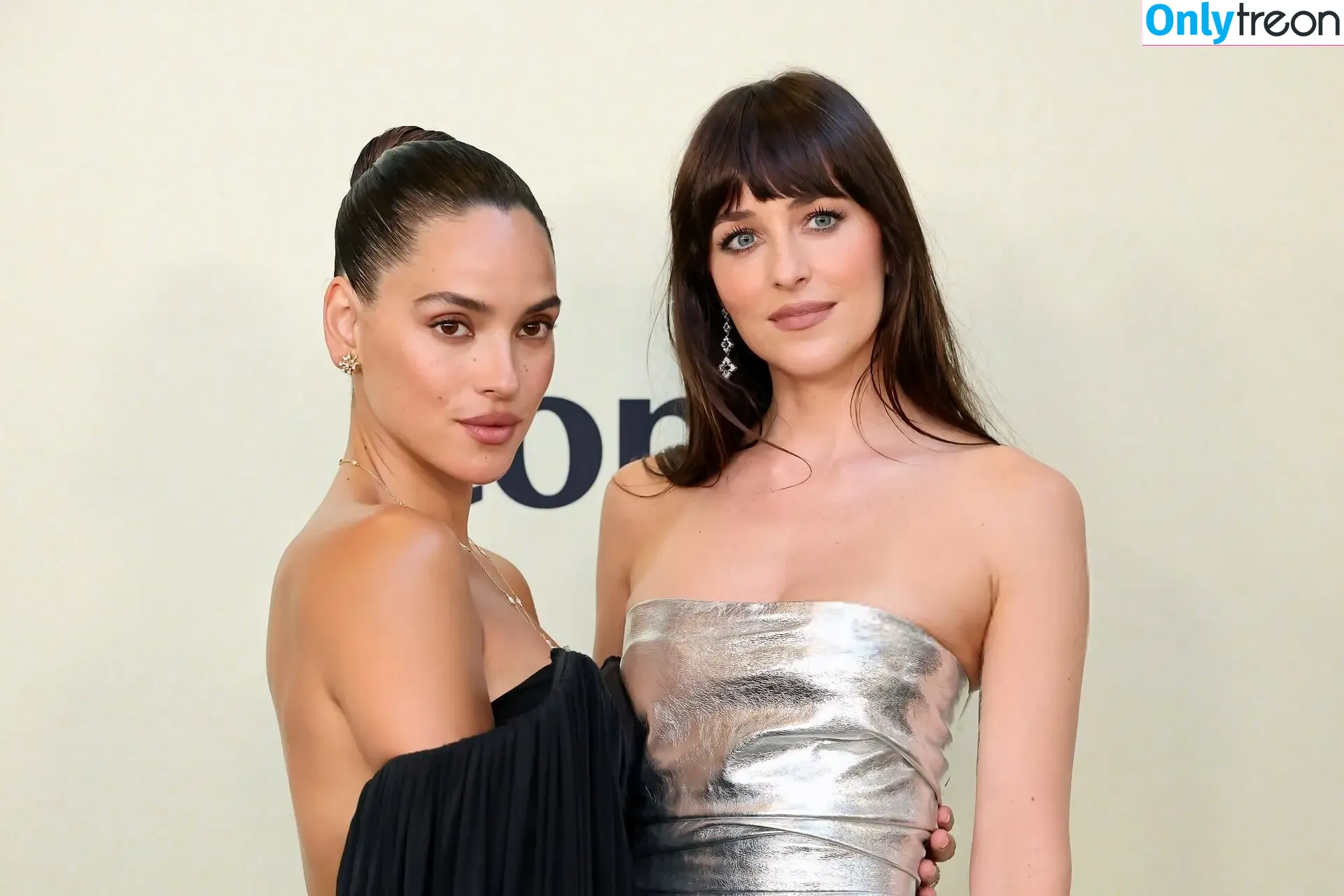 Dakota Johnson nude photo #1750 (dakotajohnson / isDakotaJohnson)