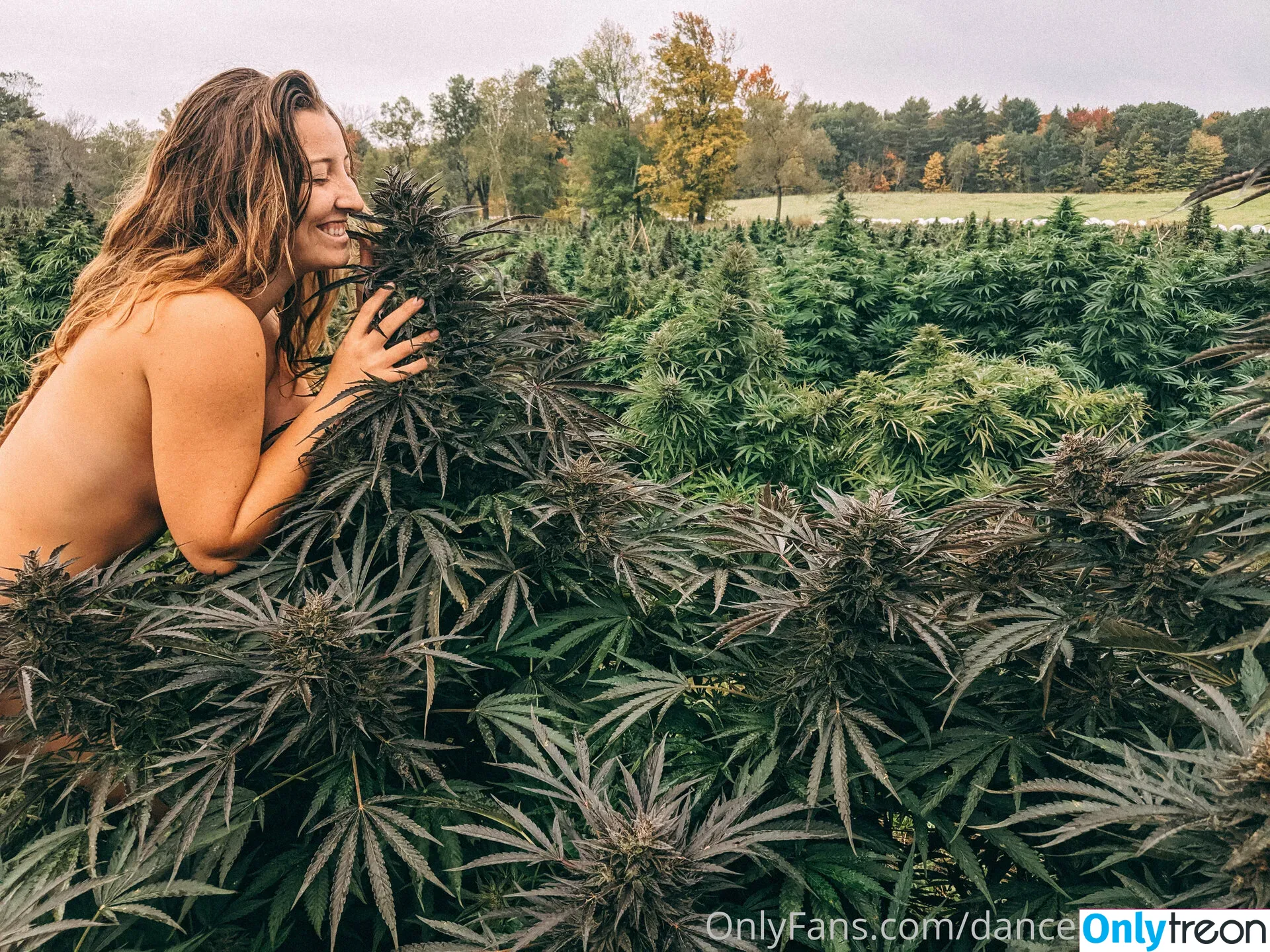 danceincannabis голая photo #0012 (danceincannabis)