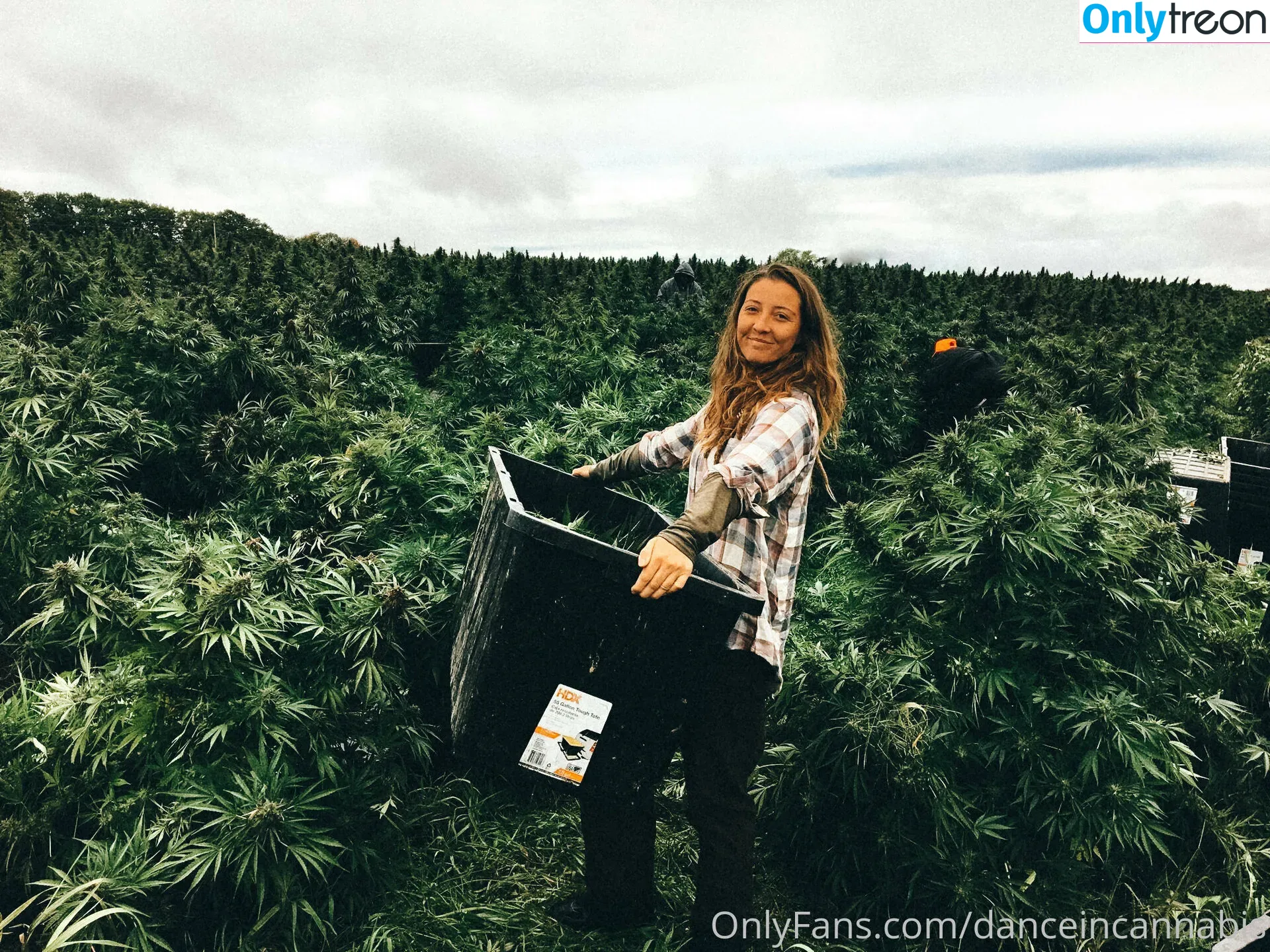 danceincannabis голая photo #0022 (danceincannabis)