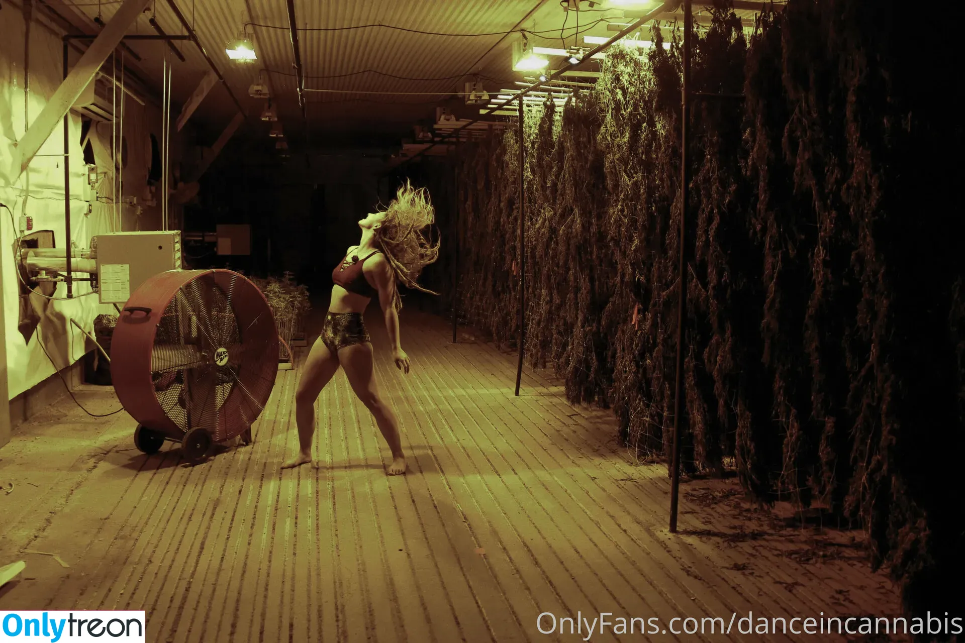 danceincannabis голая photo #0036 (danceincannabis)