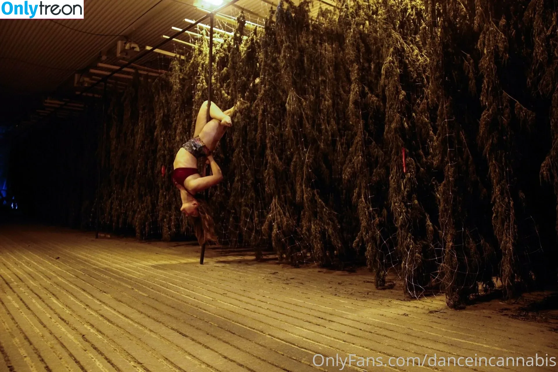 danceincannabis голая photo #0038 (danceincannabis)