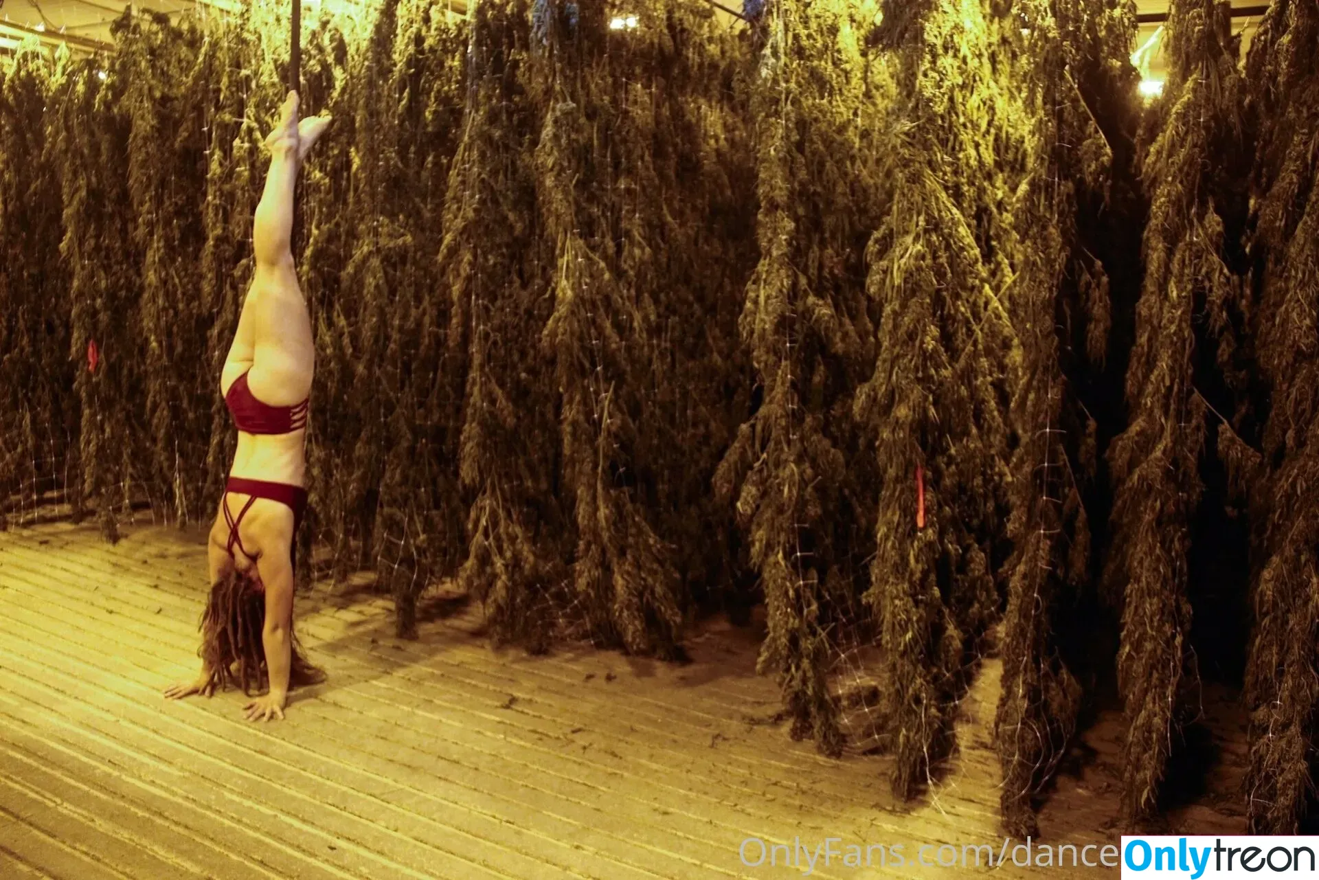 danceincannabis nude photo #0039 (danceincannabis)