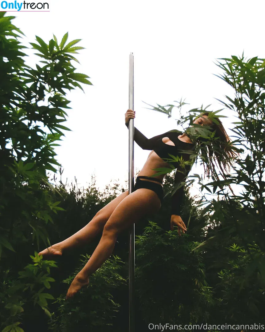 danceincannabis голая photo #0066 (danceincannabis)