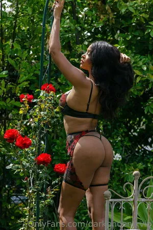 darkphoenixvip / darkphoenixmagazine nude photo #0089