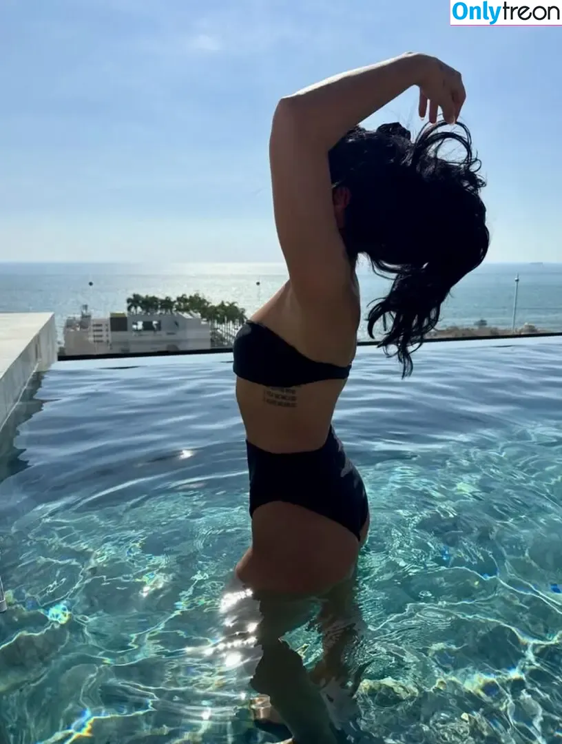 Demi Lovato голая photo #0918 (ddlovato / demi_lovato)
