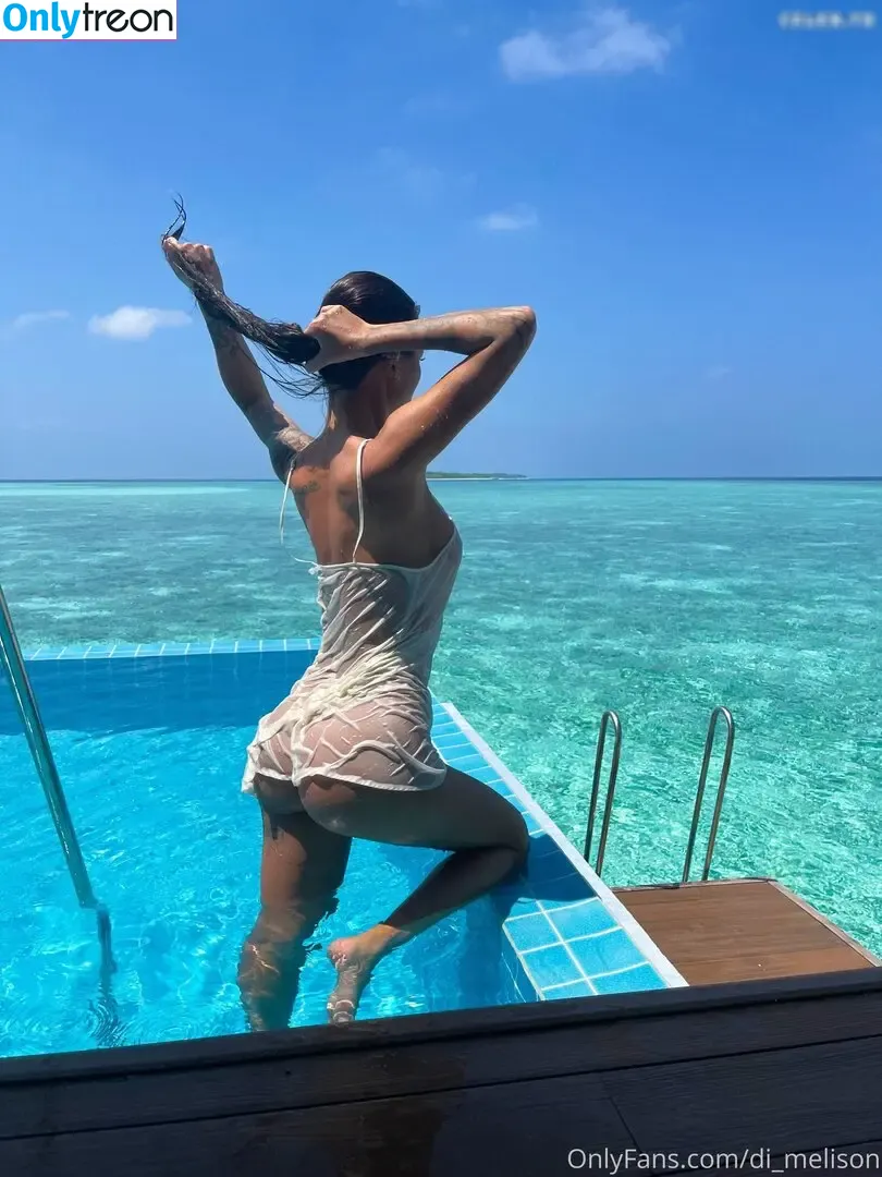 Diana Melison голая photo #0021 (di_melison)