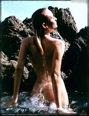 Diane Kruger / dianekruger nude photo #0294